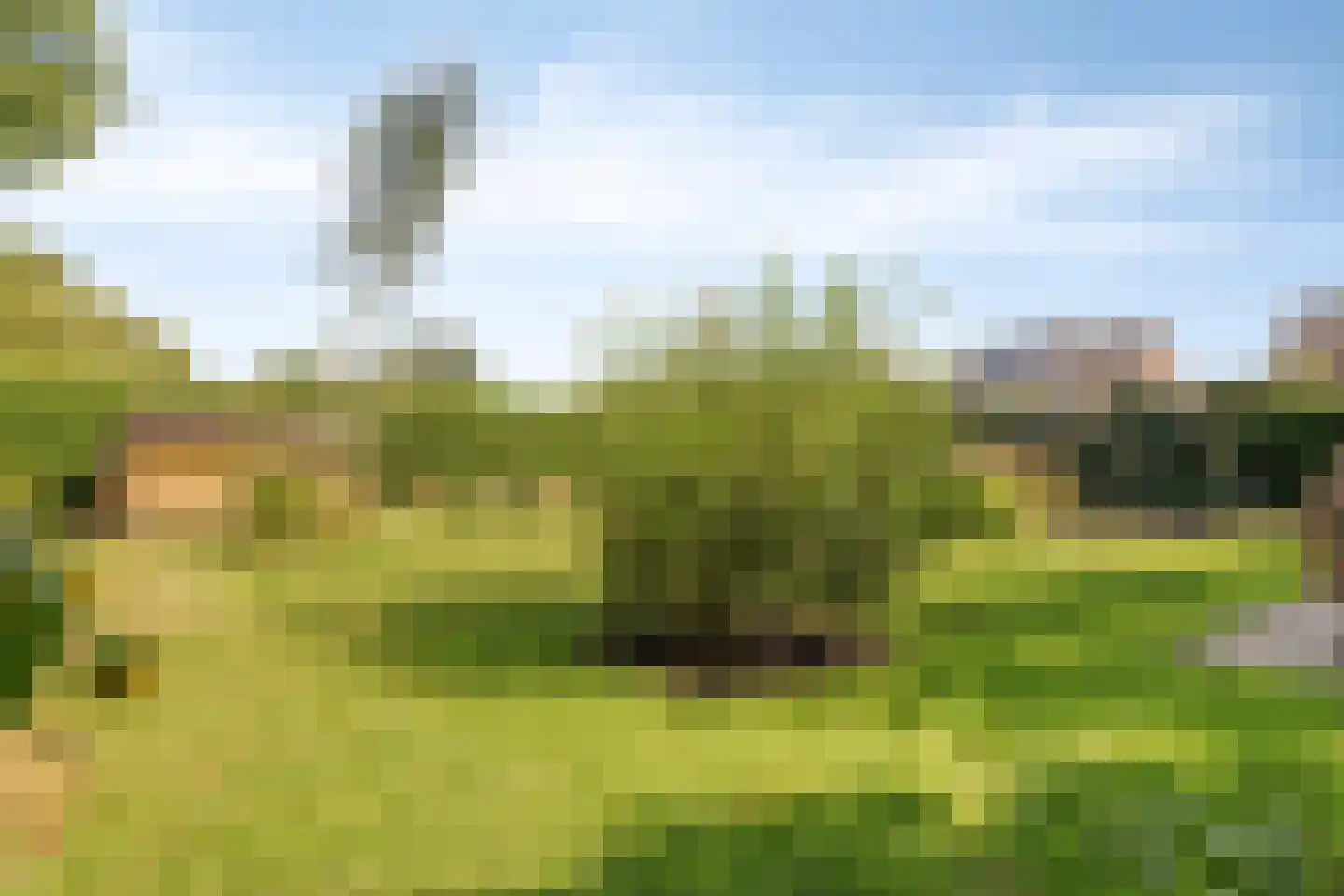 de Branden 23 Sprundel thumbnail 39