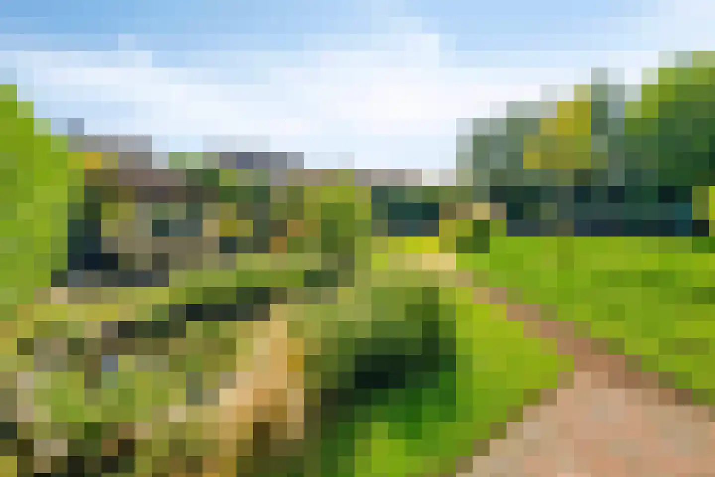 de Branden 23 Sprundel thumbnail 41