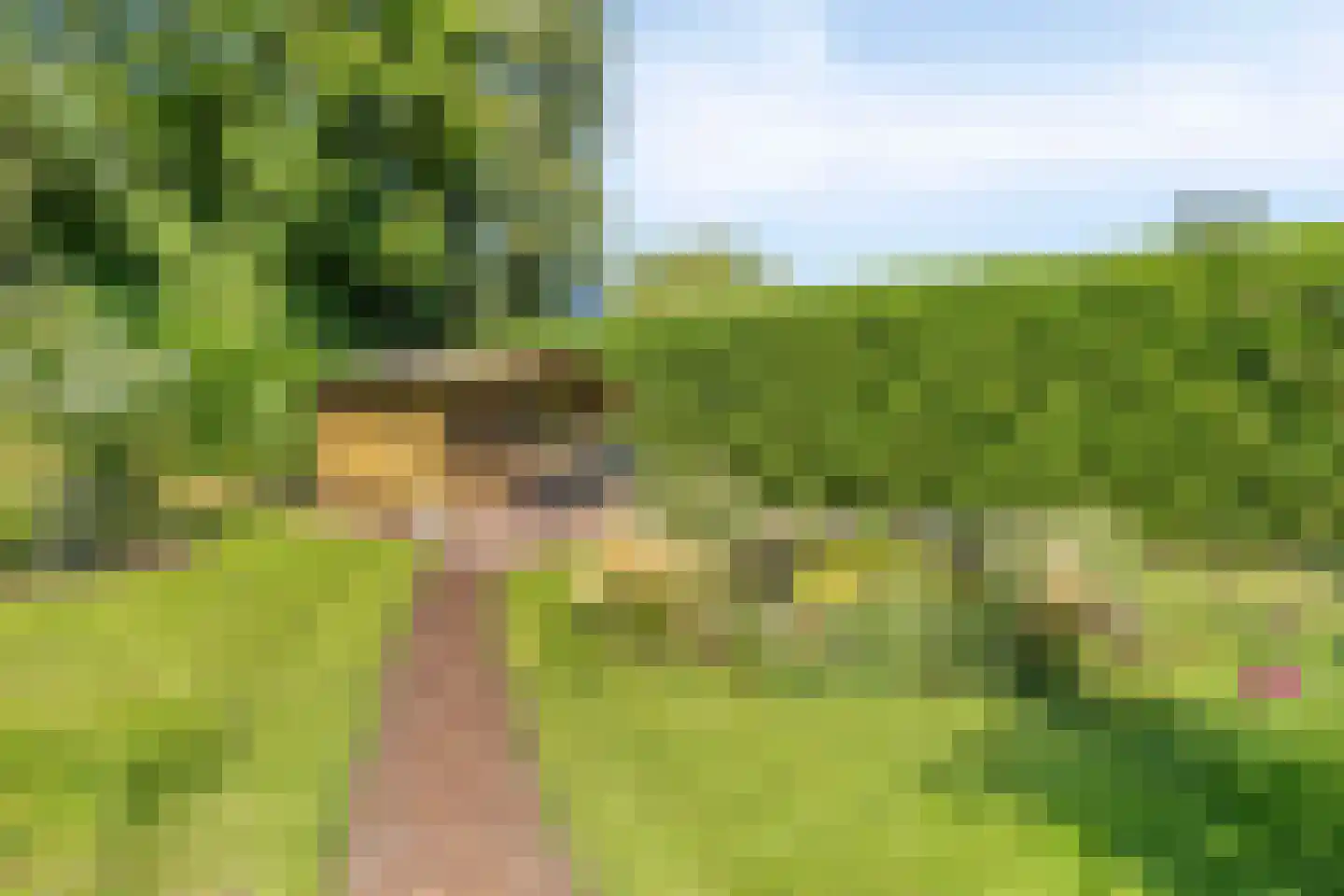 de Branden 23 Sprundel thumbnail 42