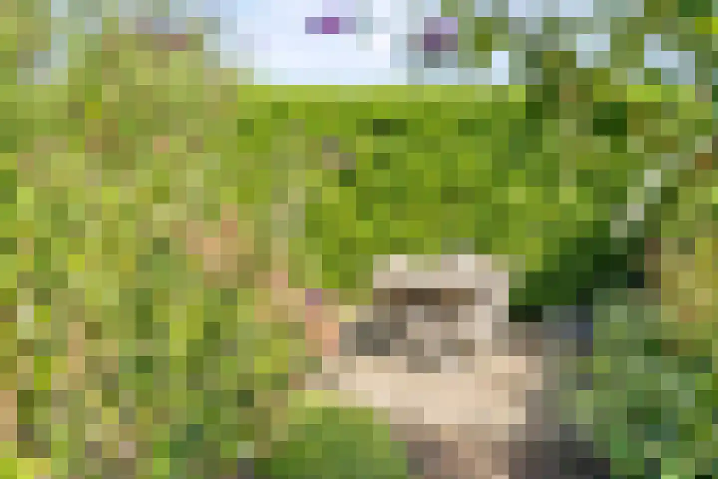 de Branden 23 Sprundel thumbnail 43