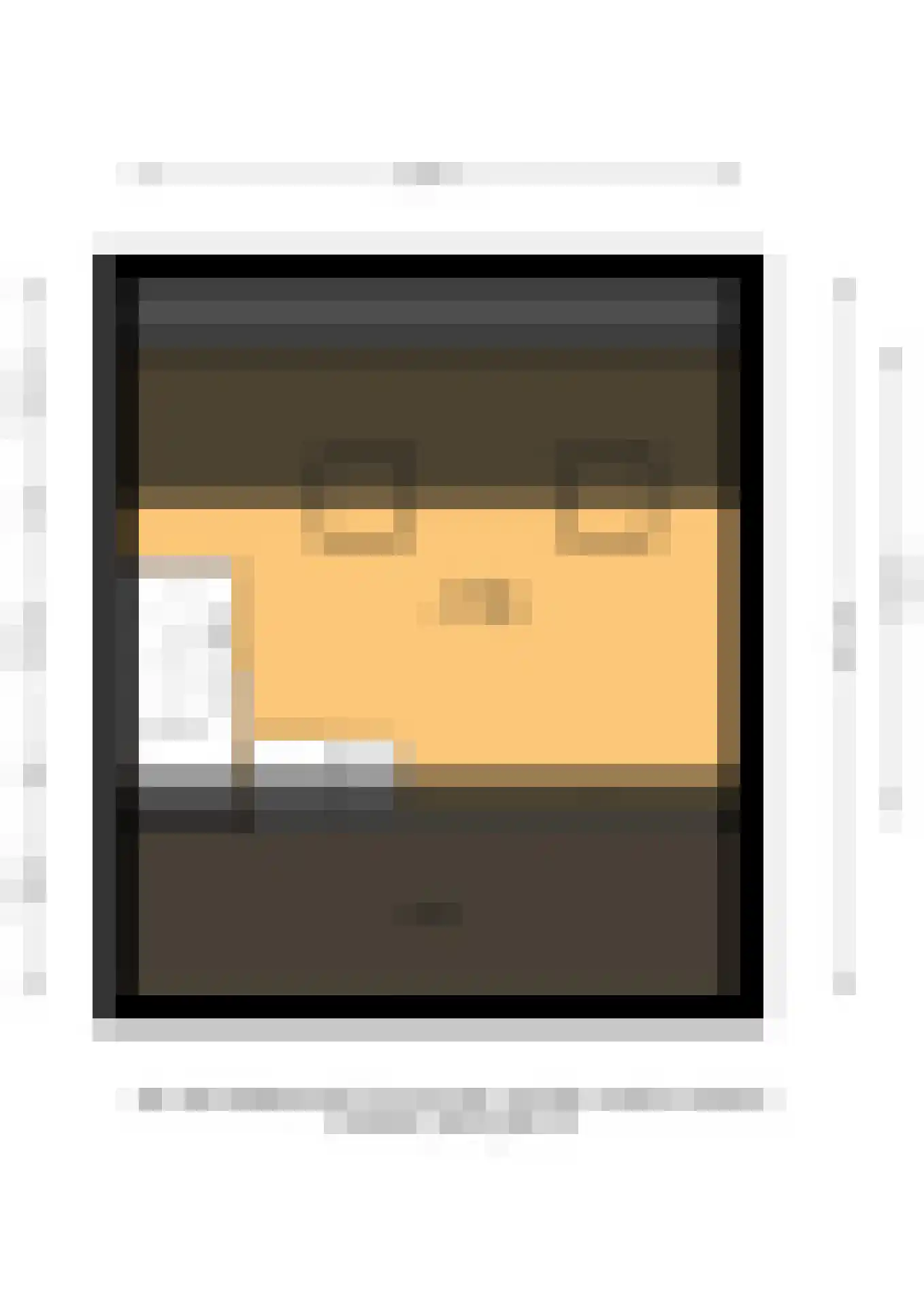 de Branden 23 Sprundel thumbnail 53