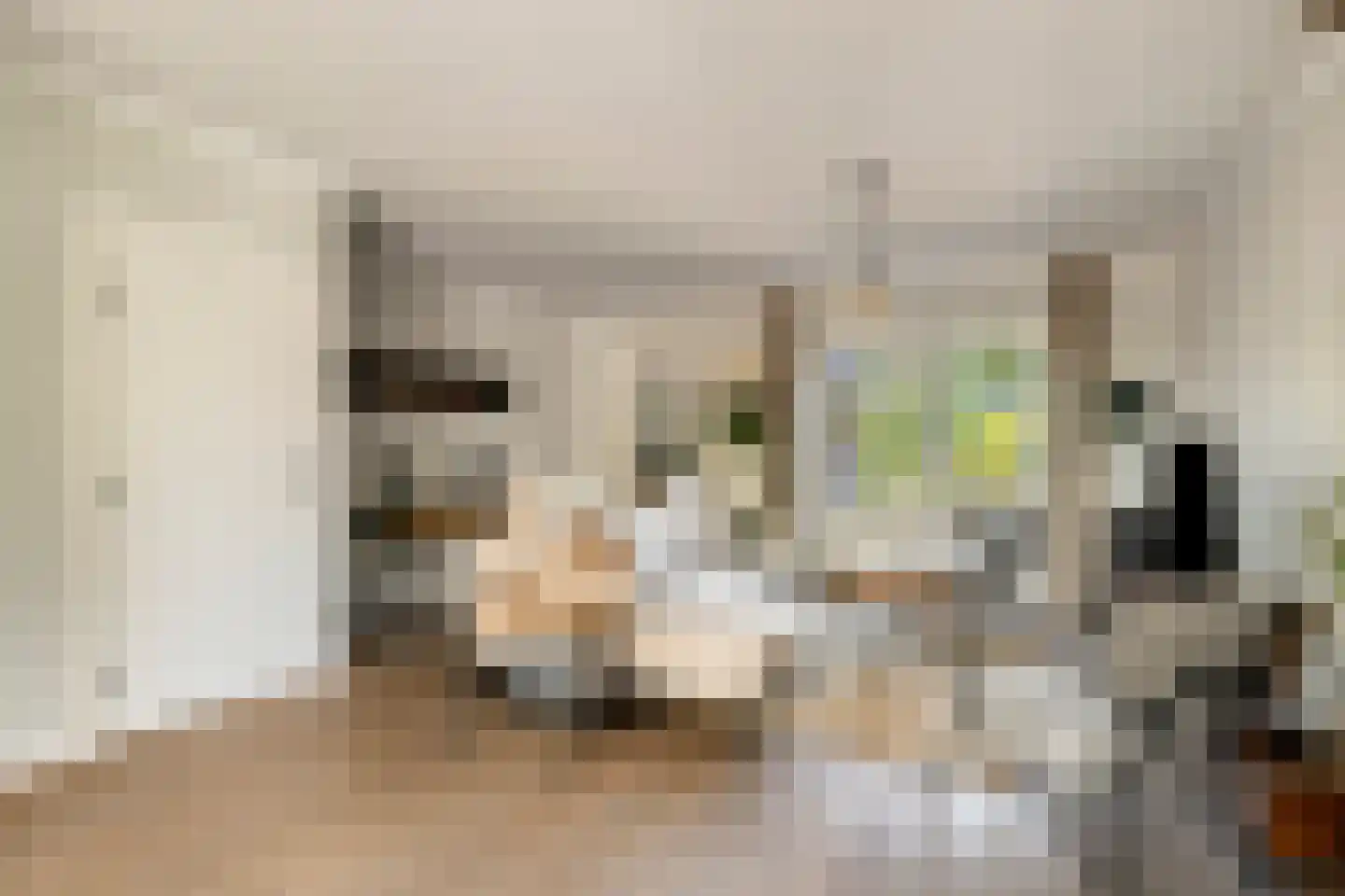 de Branden 23 Sprundel thumbnail 6