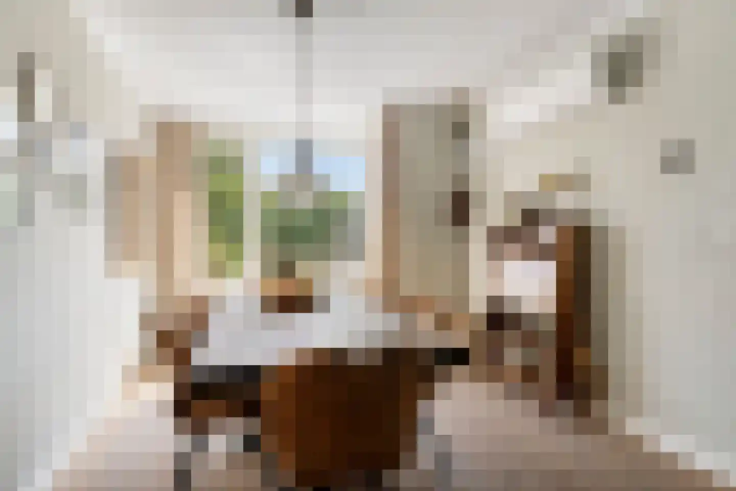 de Branden 23 Sprundel thumbnail 9