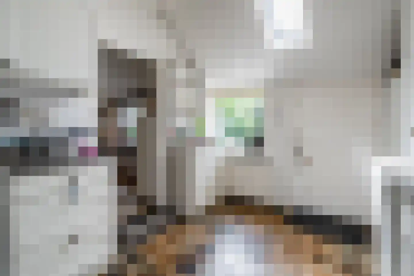 De Brandt 4 Dalfsen thumbnail 12