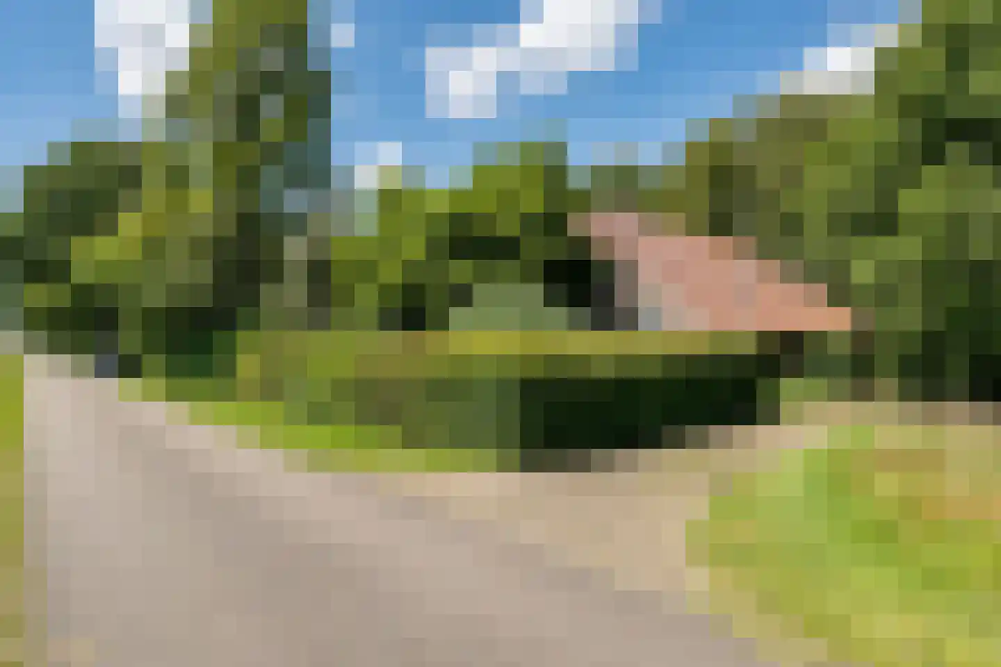 De Brandt 4 Dalfsen thumbnail 12
