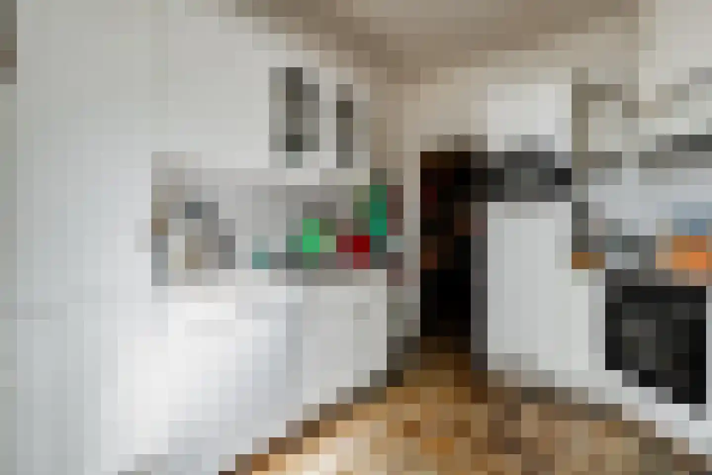 De Brandt 4 Dalfsen thumbnail 13