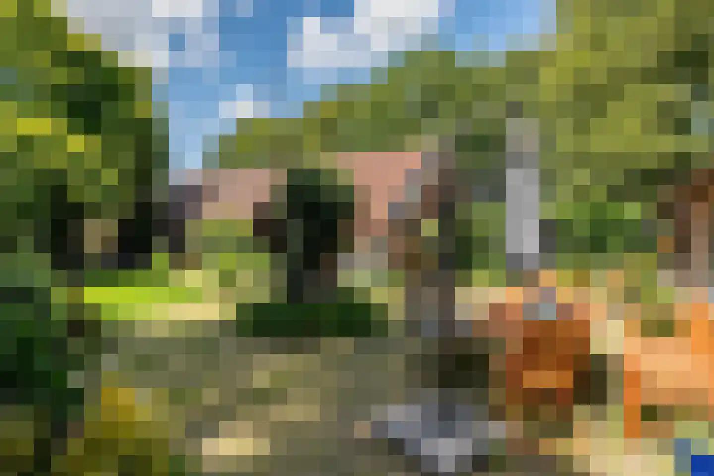 De Brandt 4 Dalfsen thumbnail 14