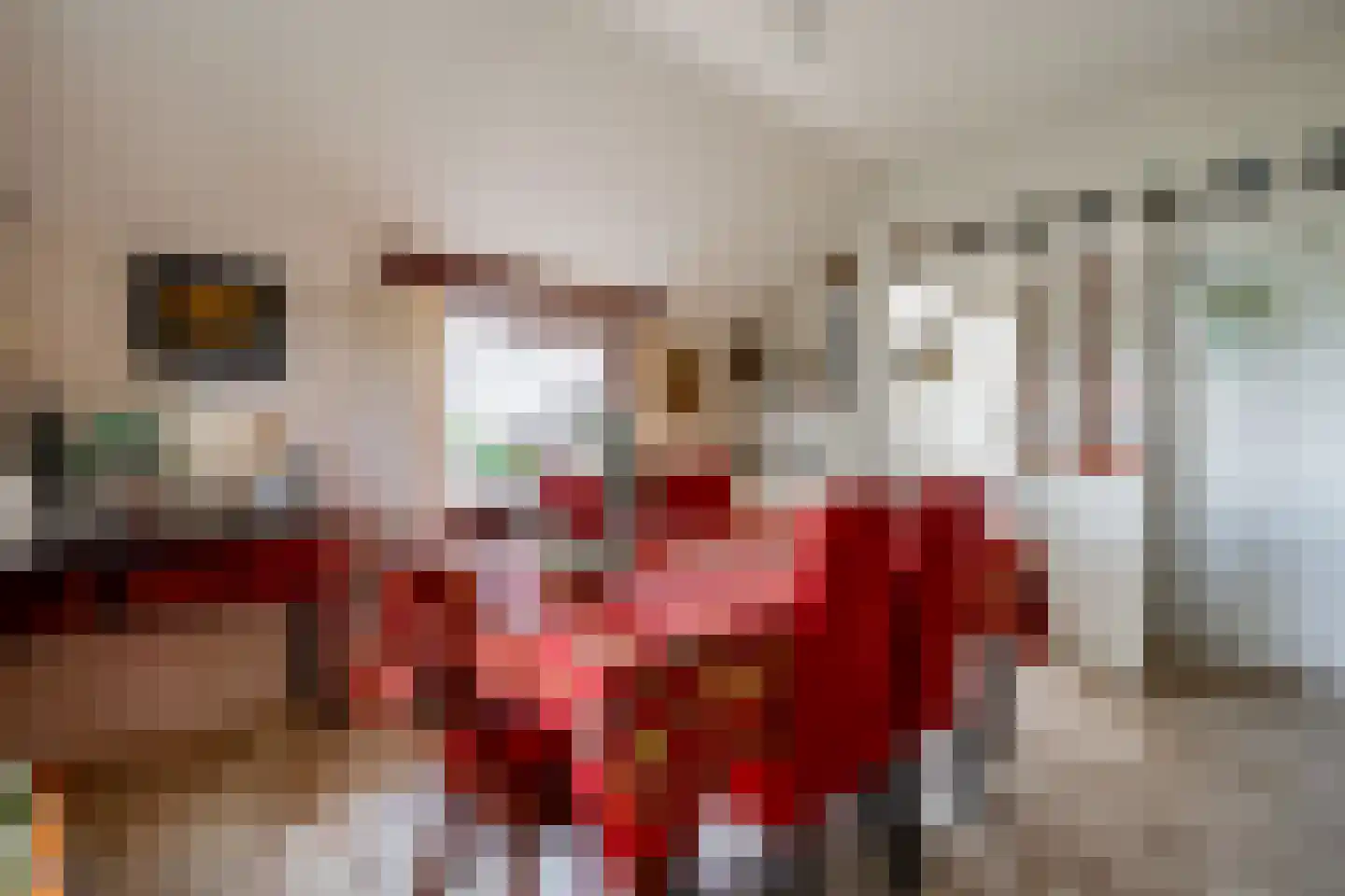 De Brandt 4 Dalfsen thumbnail 15