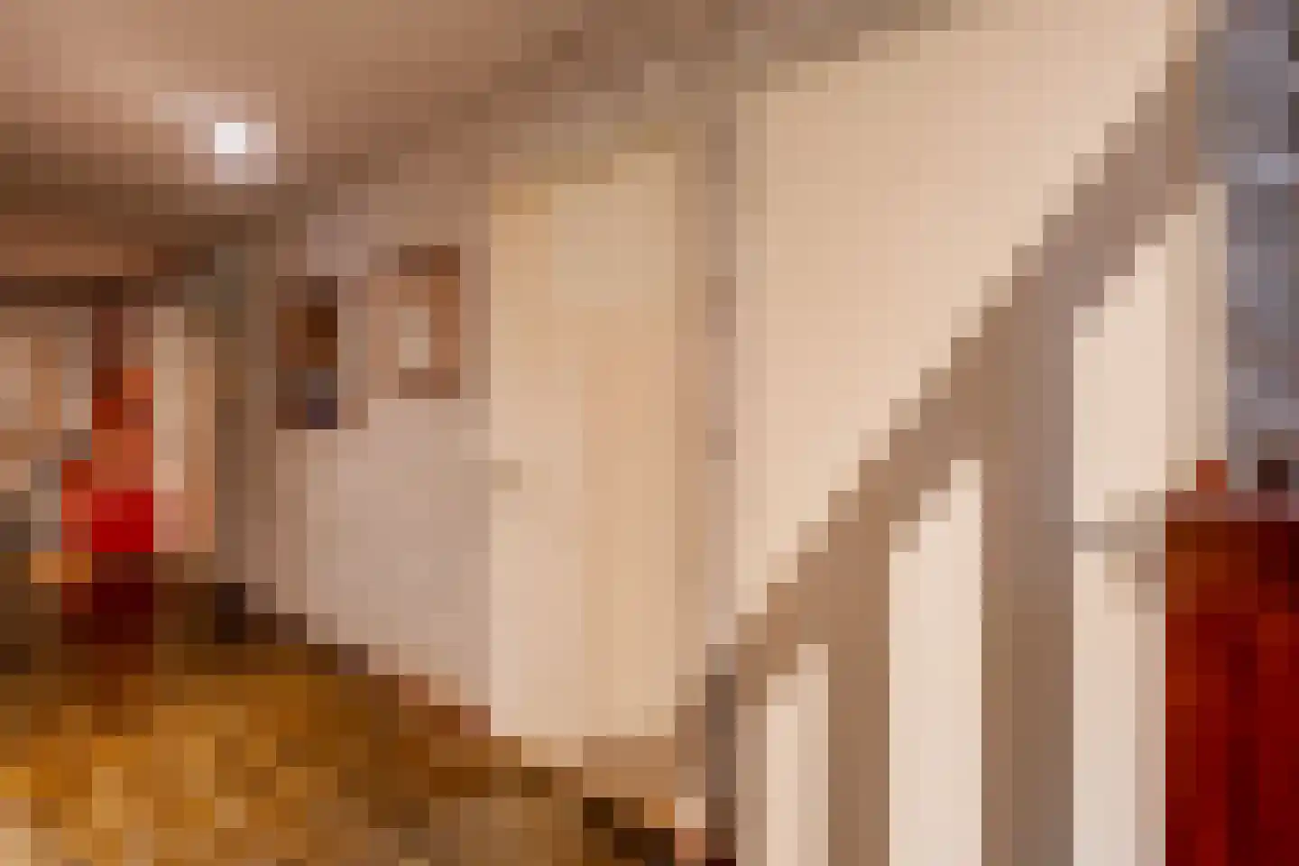 De Brandt 4 Dalfsen thumbnail 19
