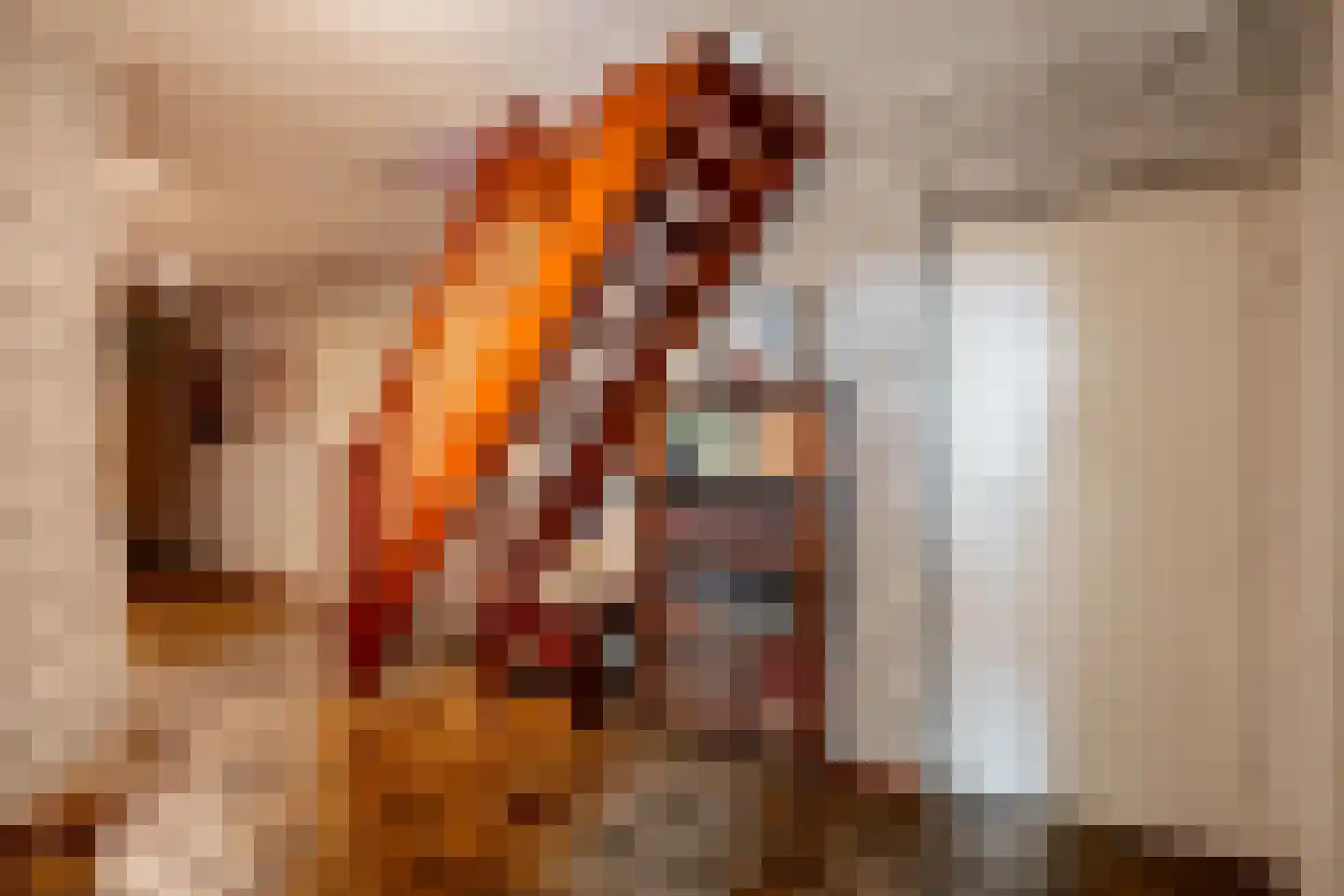 De Brandt 4 Dalfsen thumbnail 21