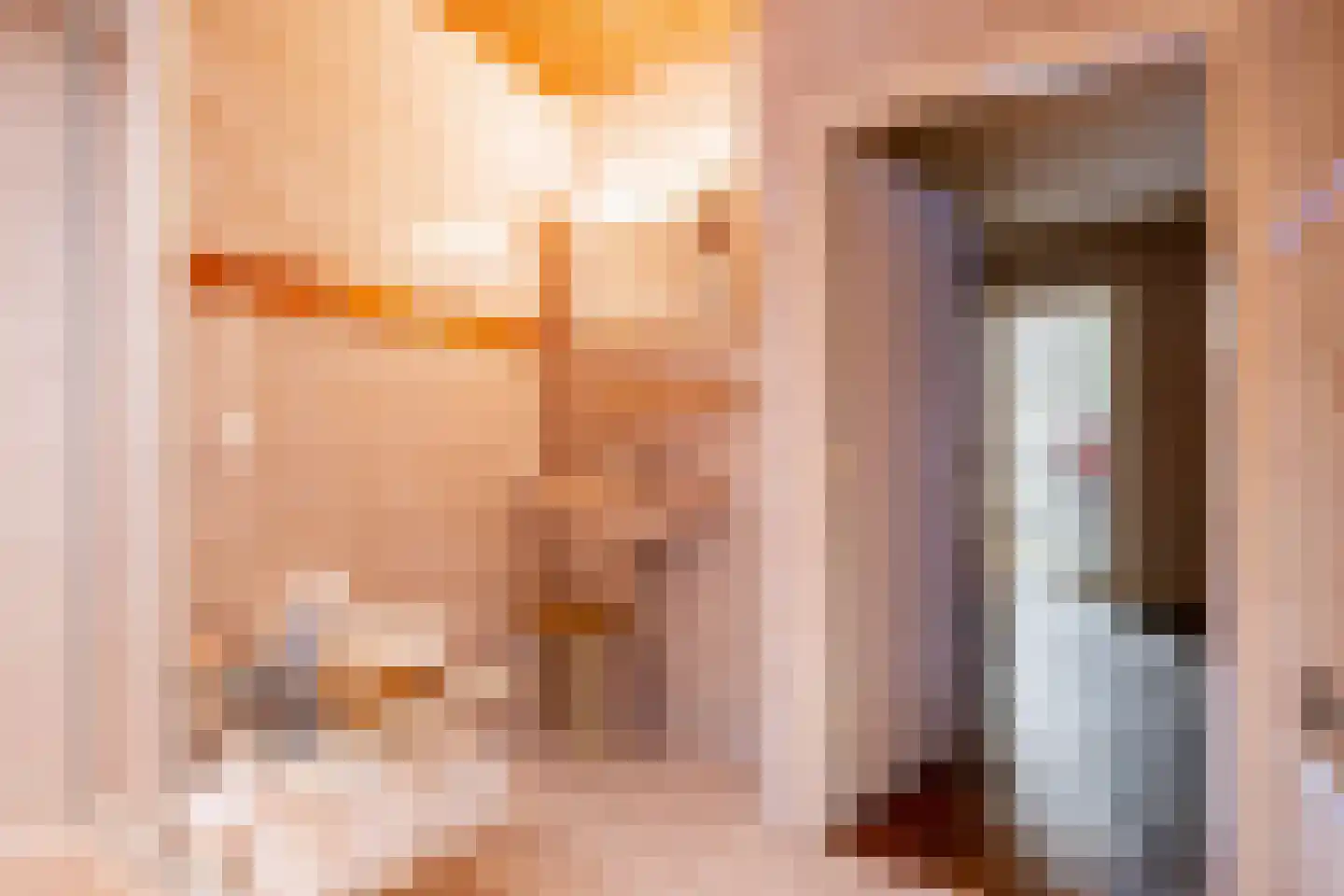 De Brandt 4 Dalfsen thumbnail 22