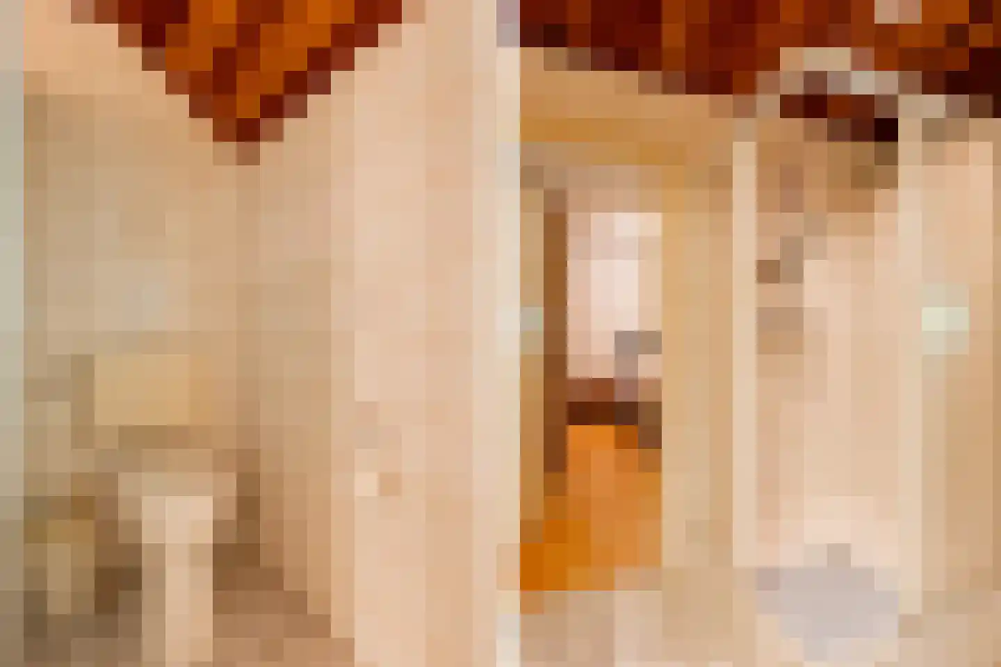 De Brandt 4 Dalfsen thumbnail 23