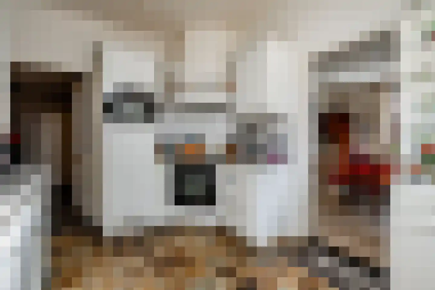 De Brandt 4 Dalfsen thumbnail 23