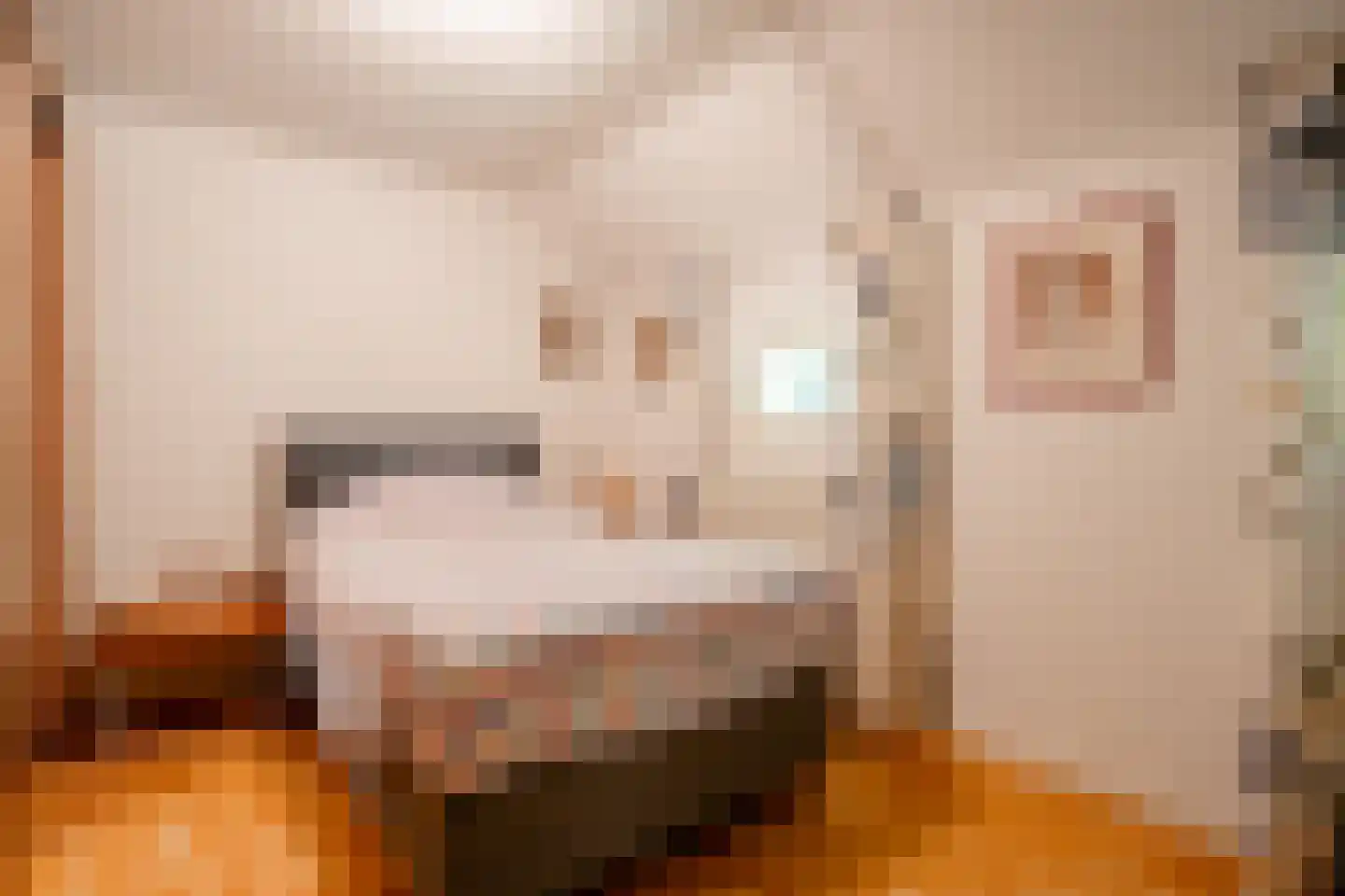 De Brandt 4 Dalfsen thumbnail 26