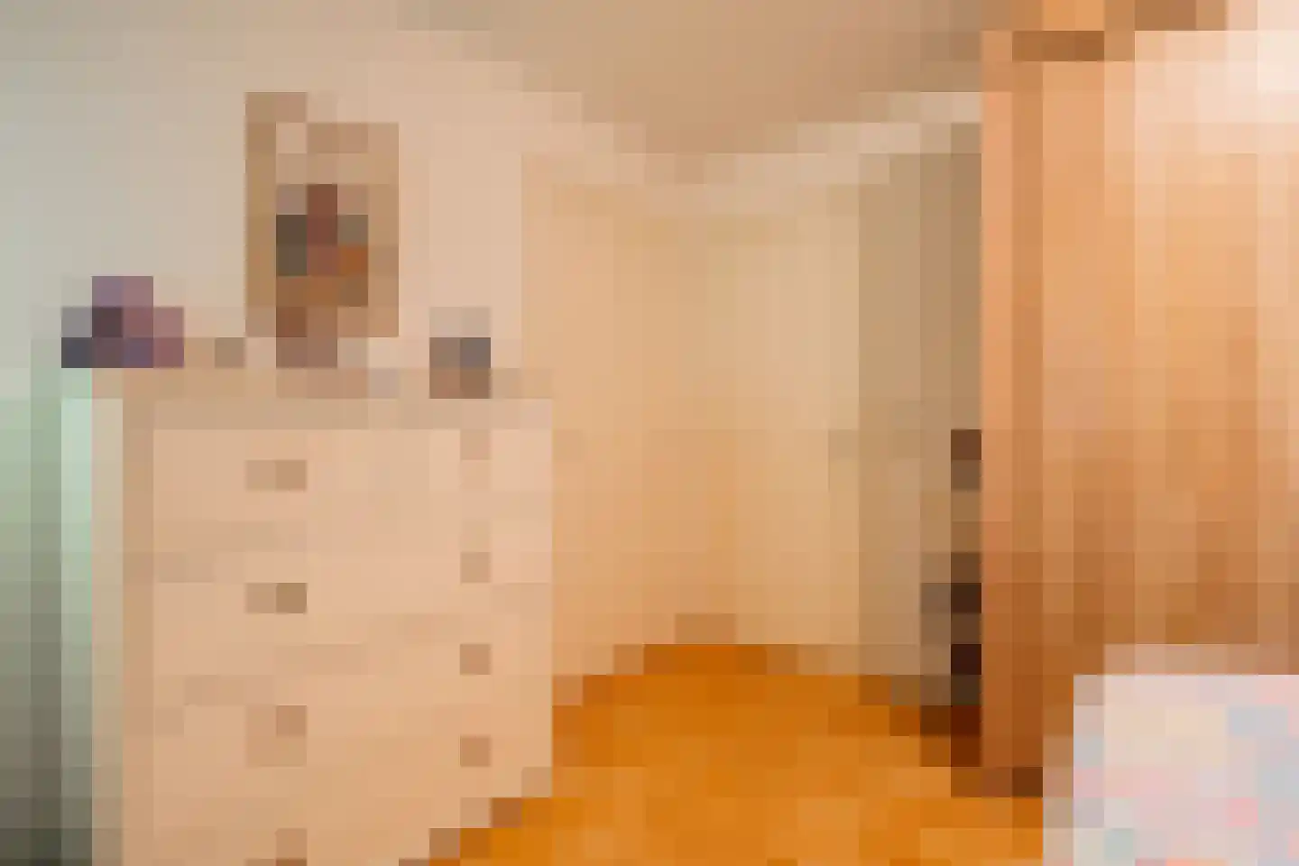 De Brandt 4 Dalfsen thumbnail 27