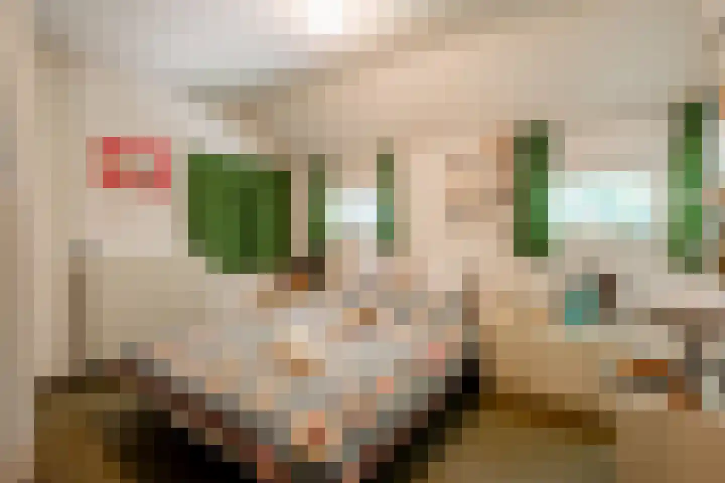 De Brandt 4 Dalfsen thumbnail 29