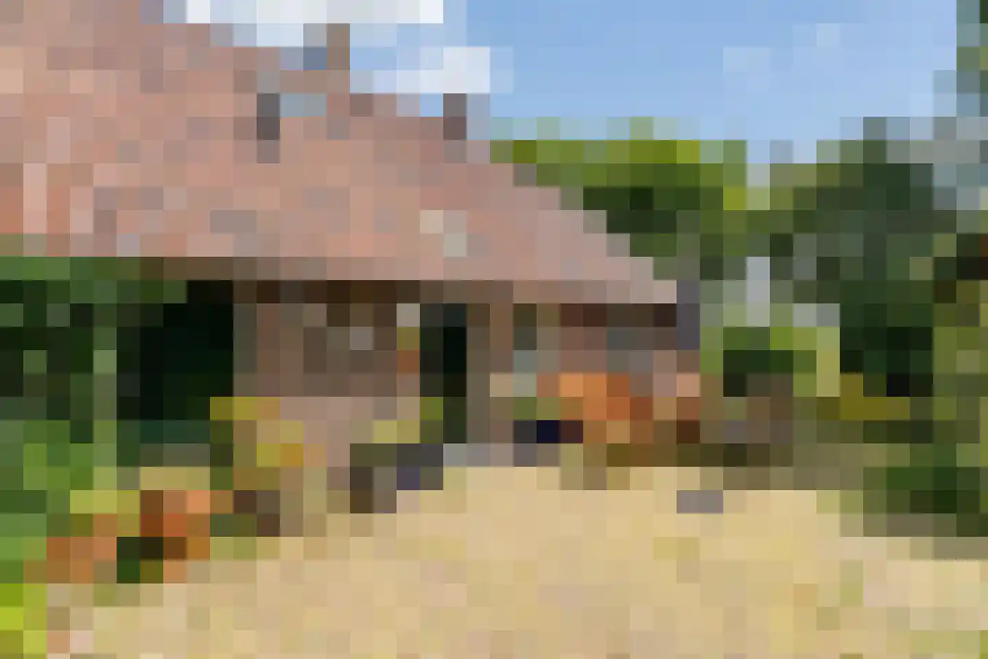 De Brandt 4 Dalfsen foto 3