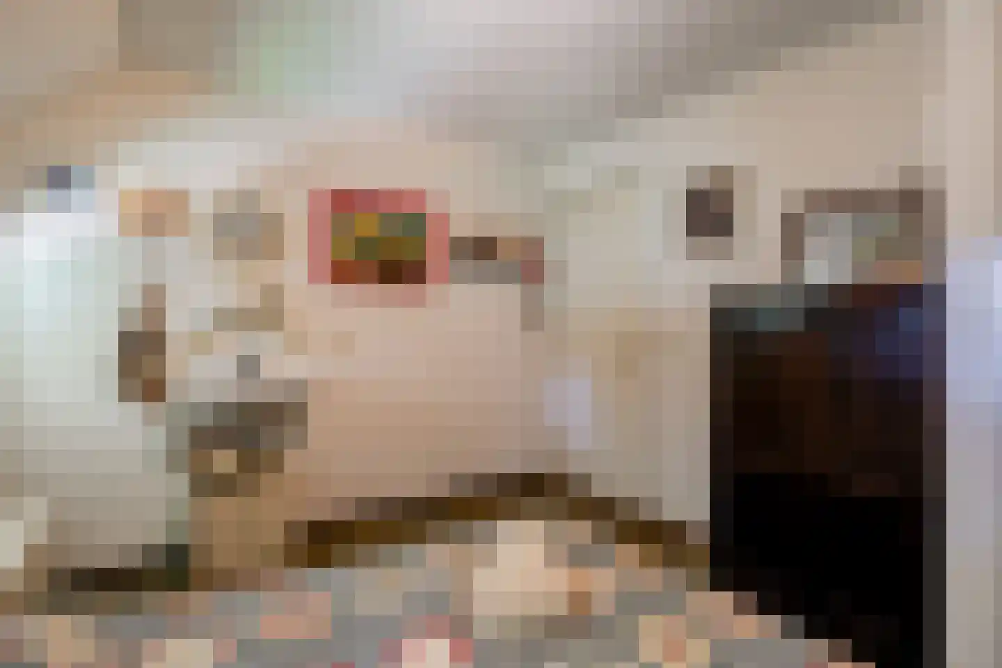 De Brandt 4 Dalfsen thumbnail 30