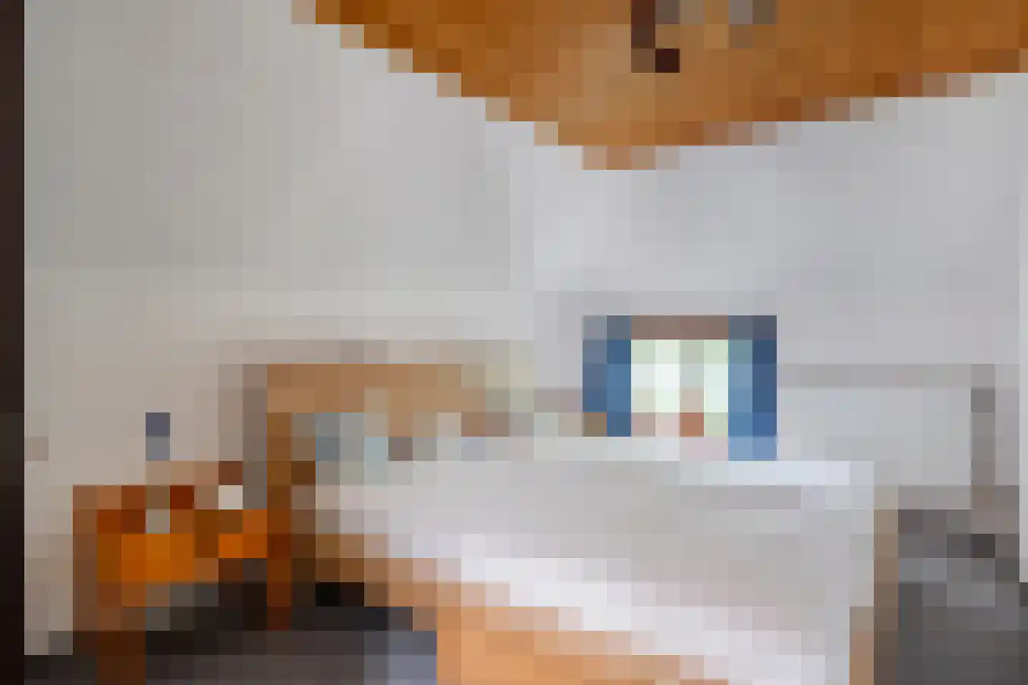 De Brandt 4 Dalfsen thumbnail 31