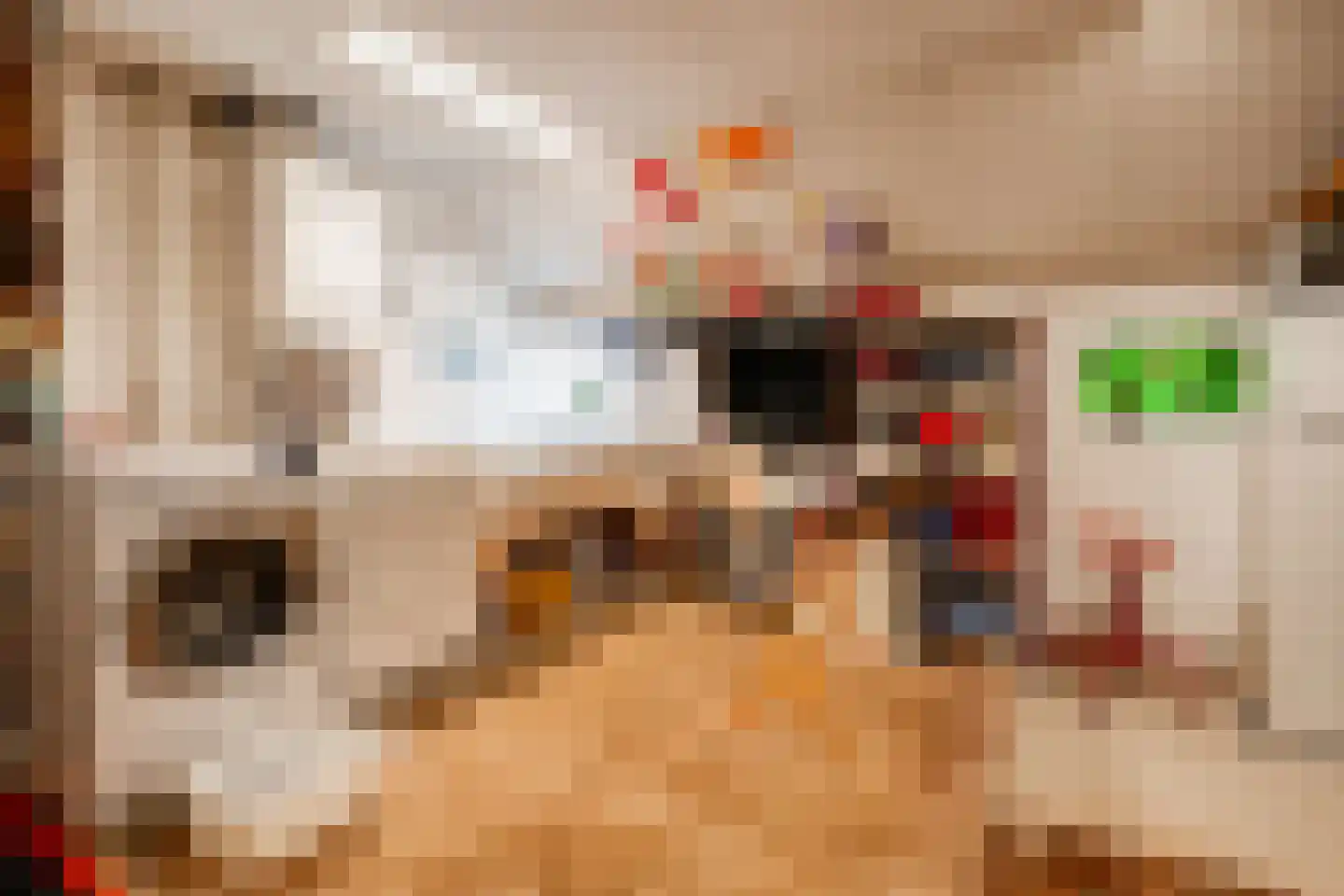 De Brandt 4 Dalfsen thumbnail 34