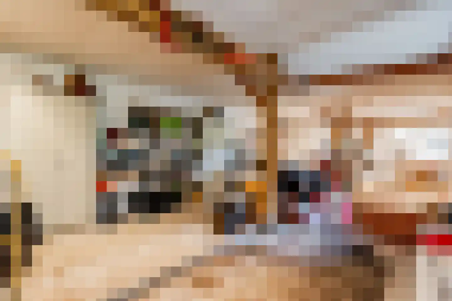 De Brandt 4 Dalfsen thumbnail 35