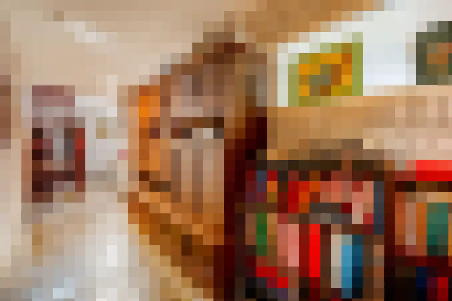 De Brandt 4 Dalfsen thumbnail 36