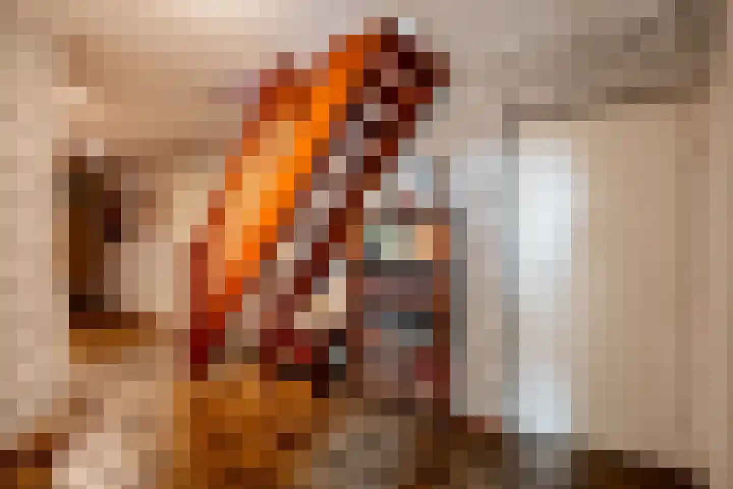 De Brandt 4 Dalfsen thumbnail 37