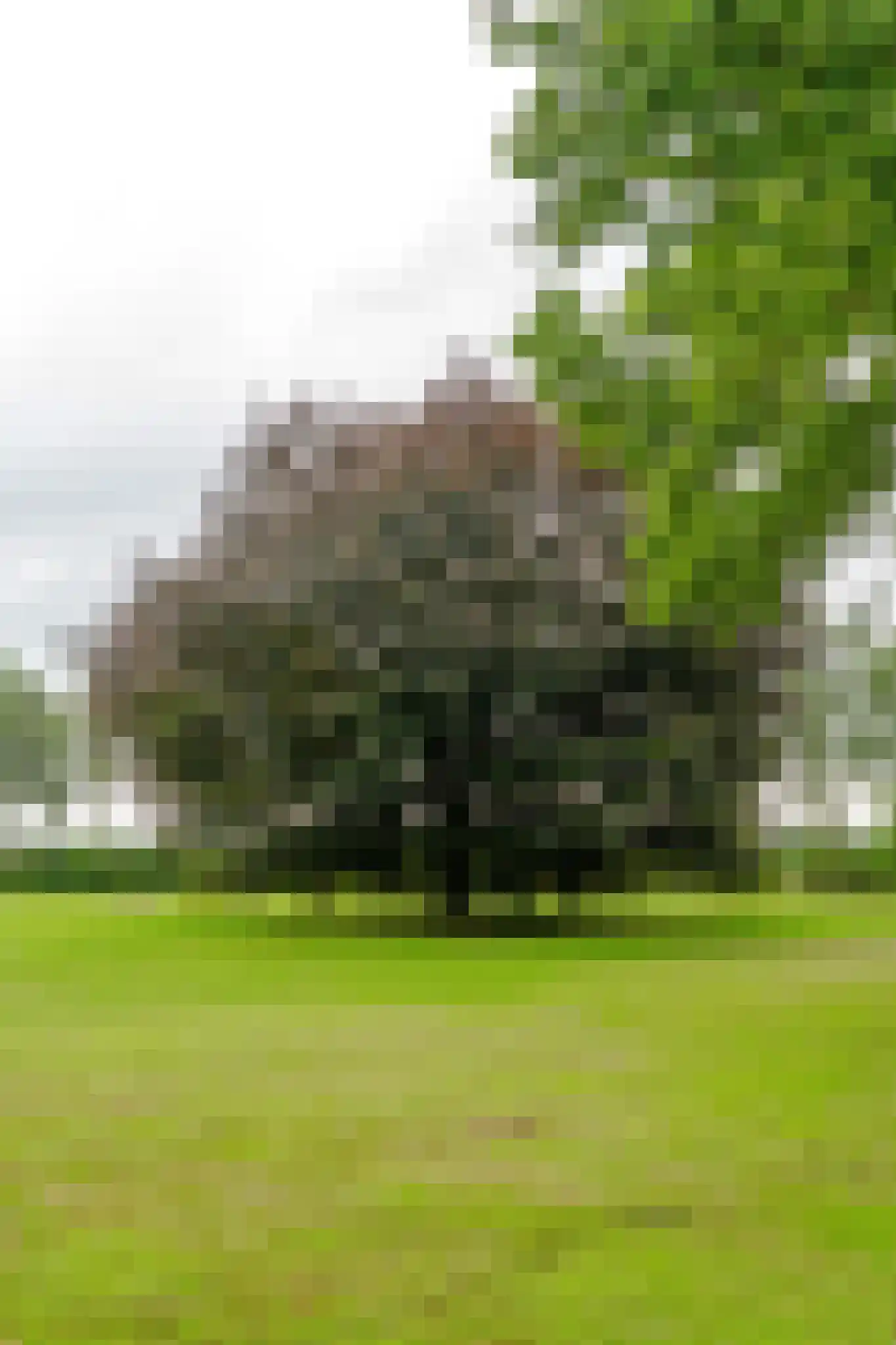 De Brandt 4 Dalfsen thumbnail 4