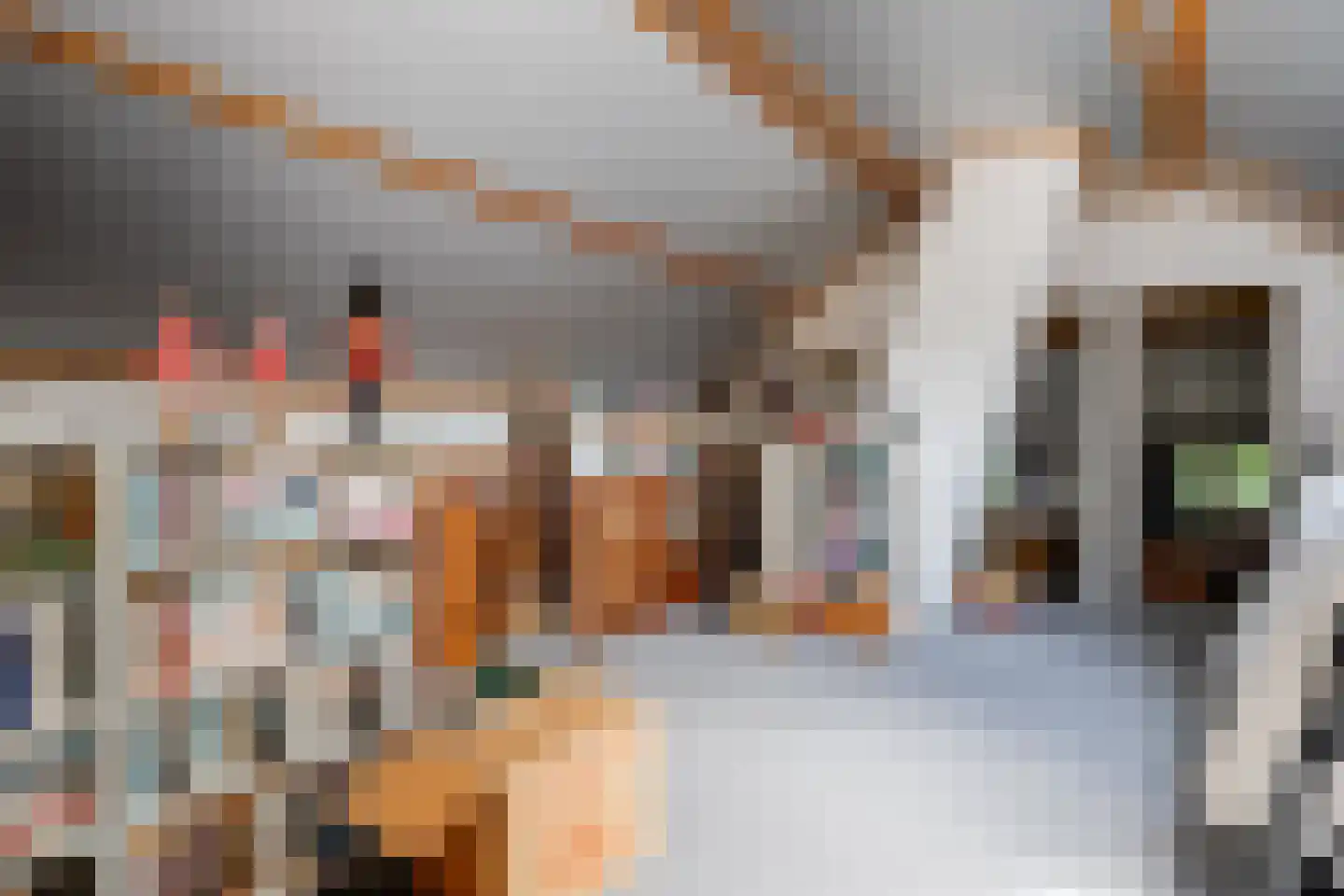 De Brandt 4 Dalfsen thumbnail 40