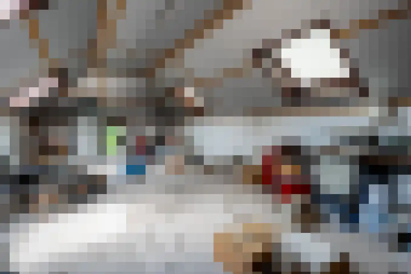 De Brandt 4 Dalfsen thumbnail 41