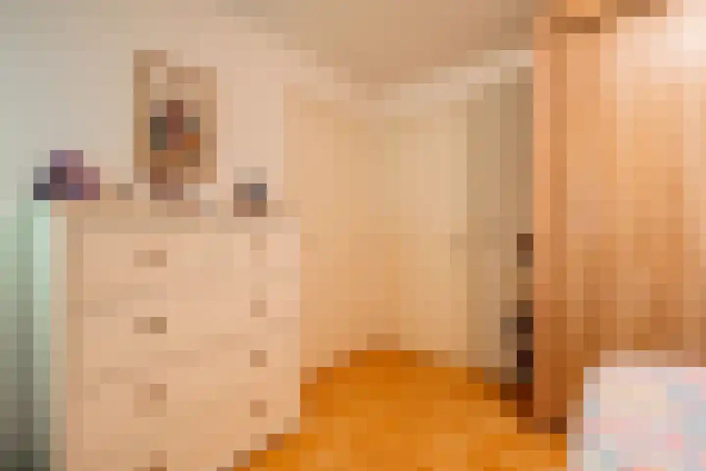 De Brandt 4 Dalfsen thumbnail 41