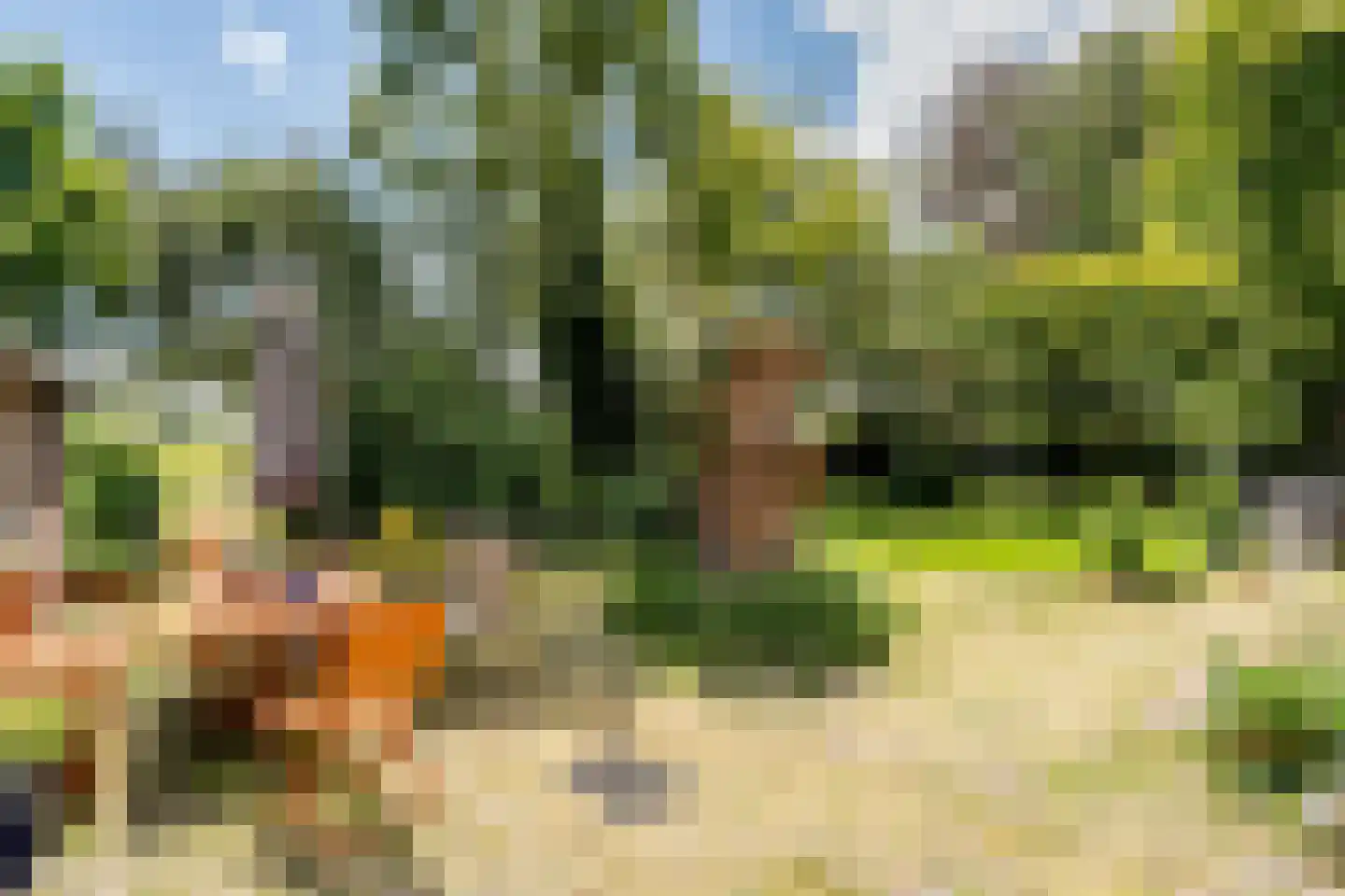 De Brandt 4 Dalfsen thumbnail 42