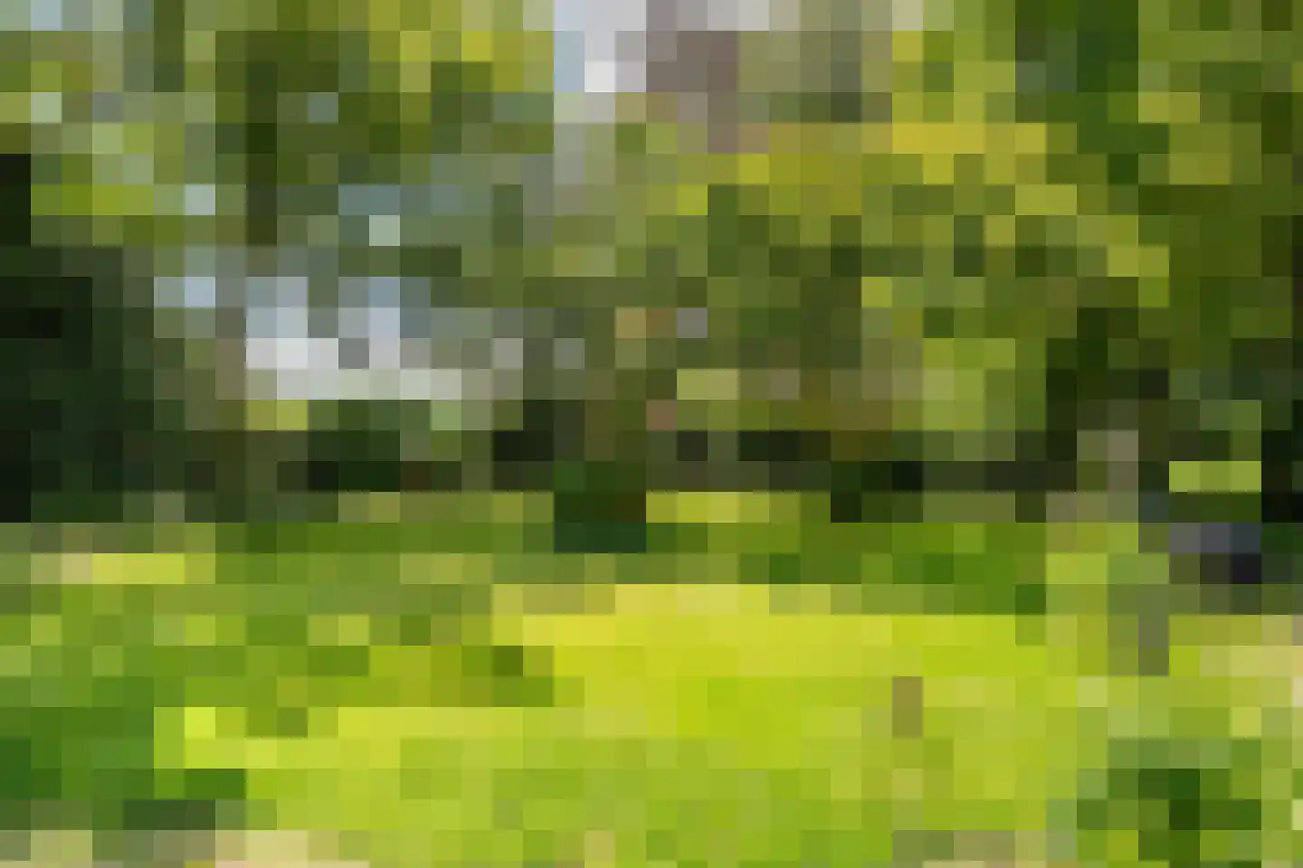 De Brandt 4 Dalfsen thumbnail 43
