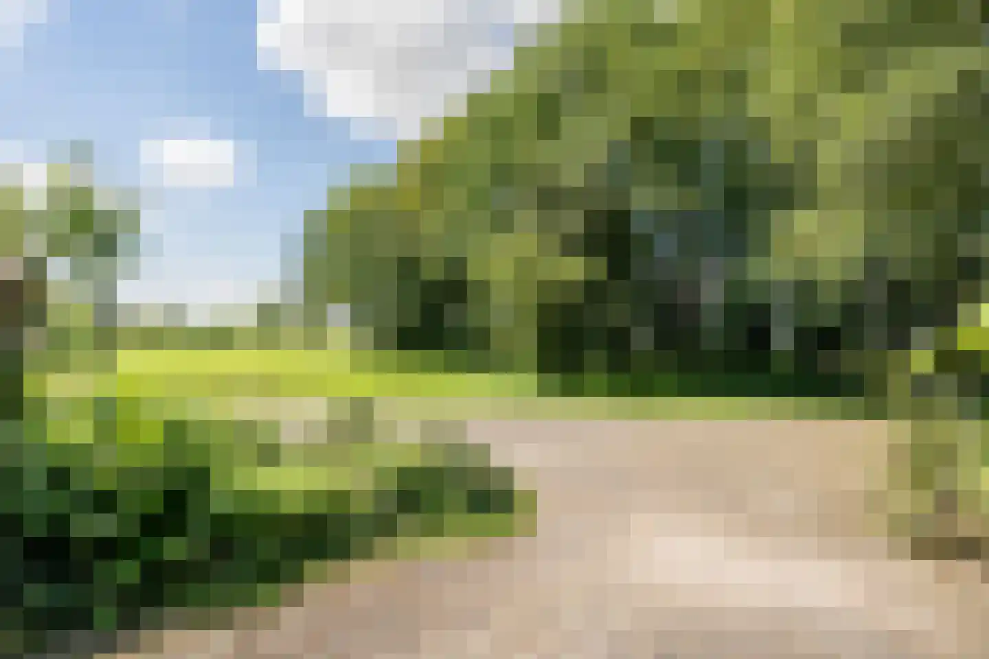 De Brandt 4 Dalfsen thumbnail 44