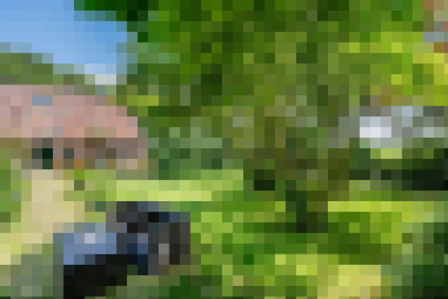 De Brandt 4 Dalfsen thumbnail 45