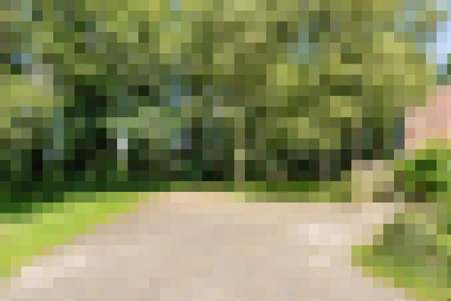 De Brandt 4 Dalfsen thumbnail 46