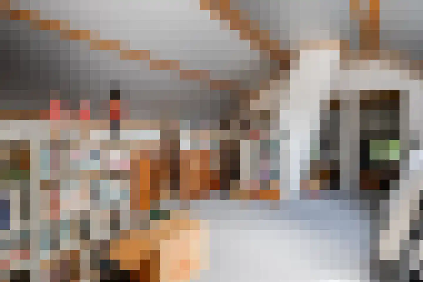 De Brandt 4 Dalfsen thumbnail 48