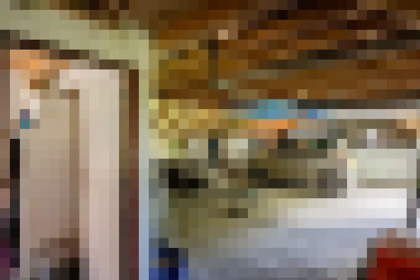 De Brandt 4 Dalfsen thumbnail 48