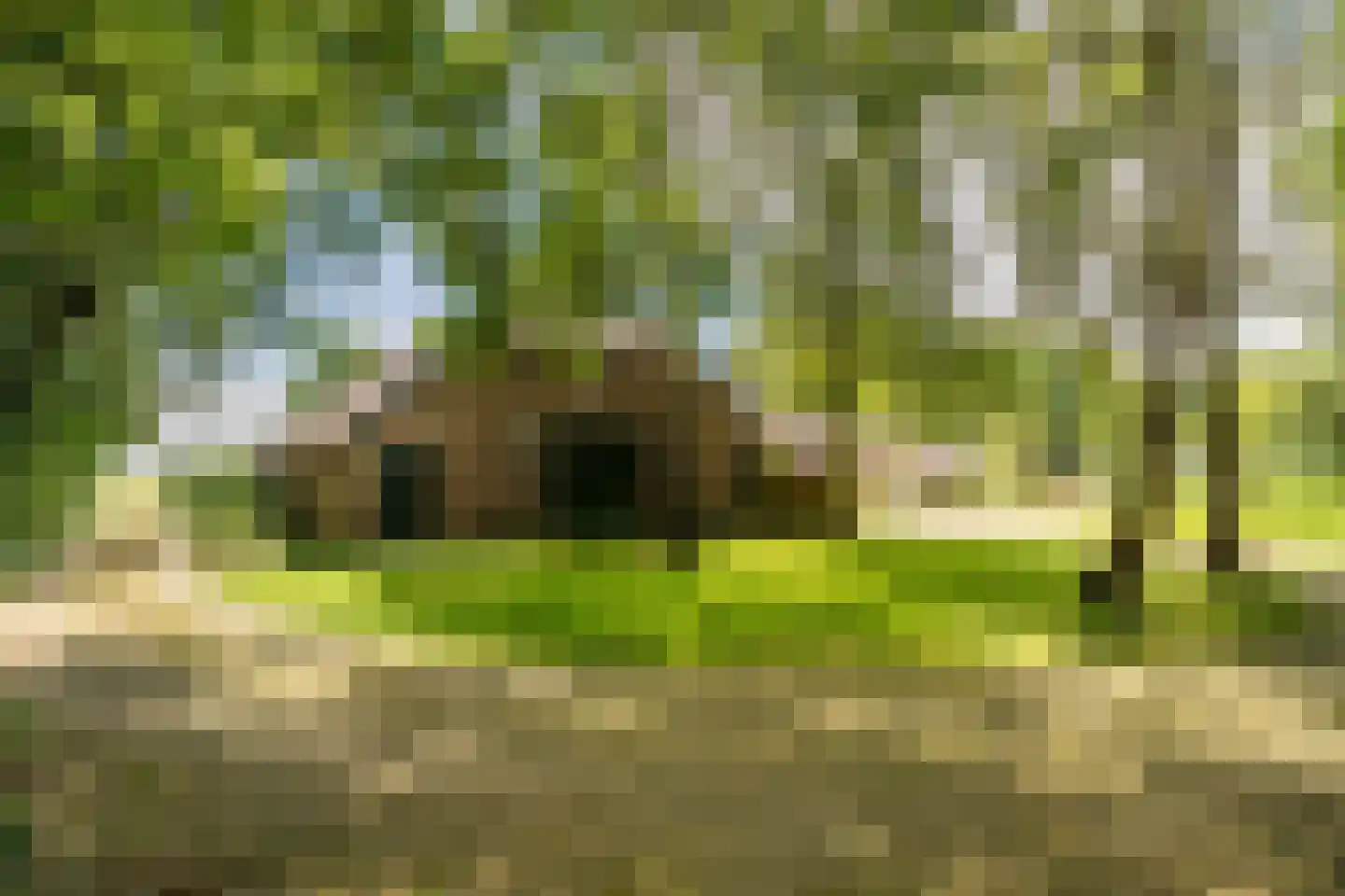 De Brandt 4 Dalfsen thumbnail 49