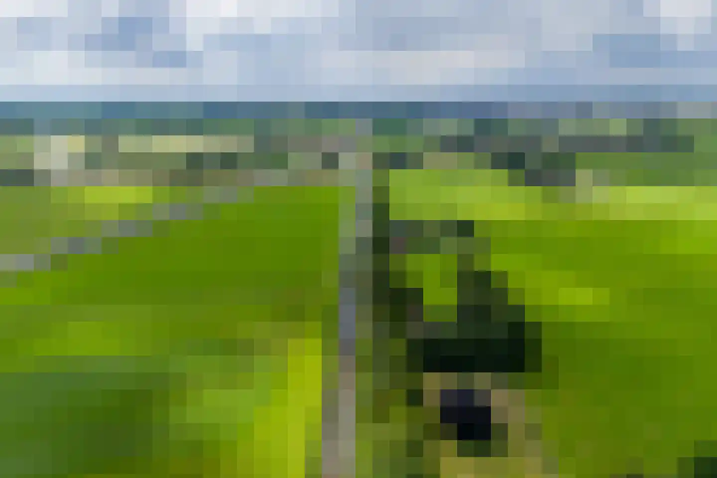 De Brandt 4 Dalfsen thumbnail 5