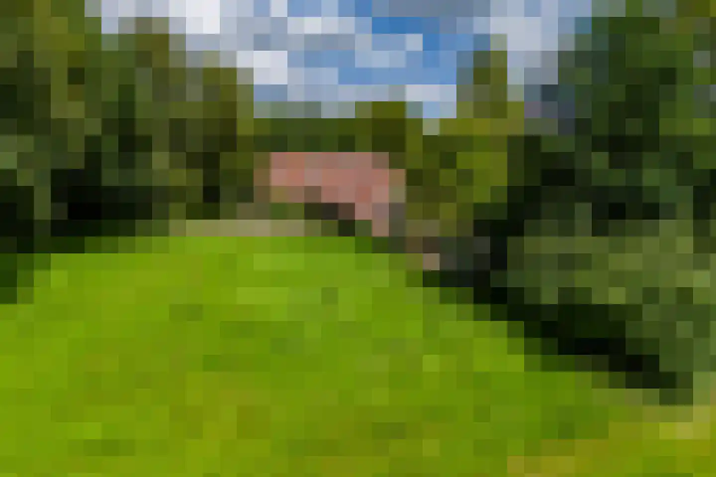 De Brandt 4 Dalfsen thumbnail 50
