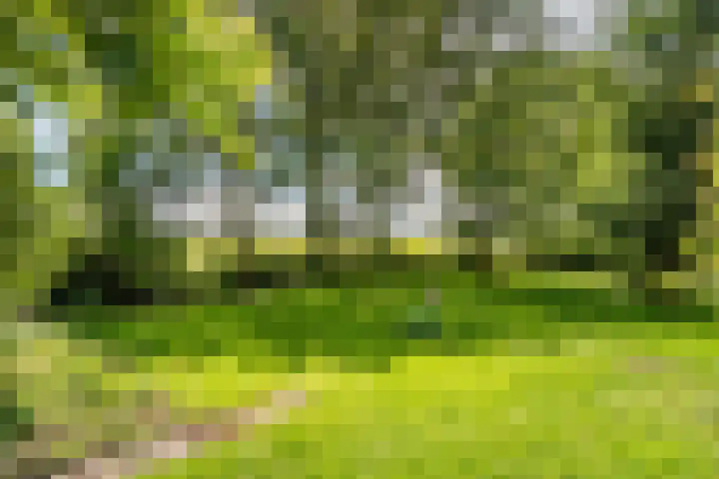 De Brandt 4 Dalfsen thumbnail 52