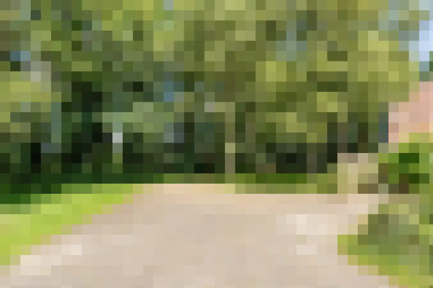 De Brandt 4 Dalfsen thumbnail 52