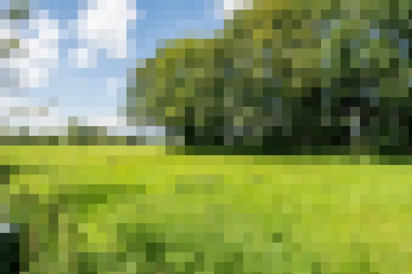 De Brandt 4 Dalfsen thumbnail 53