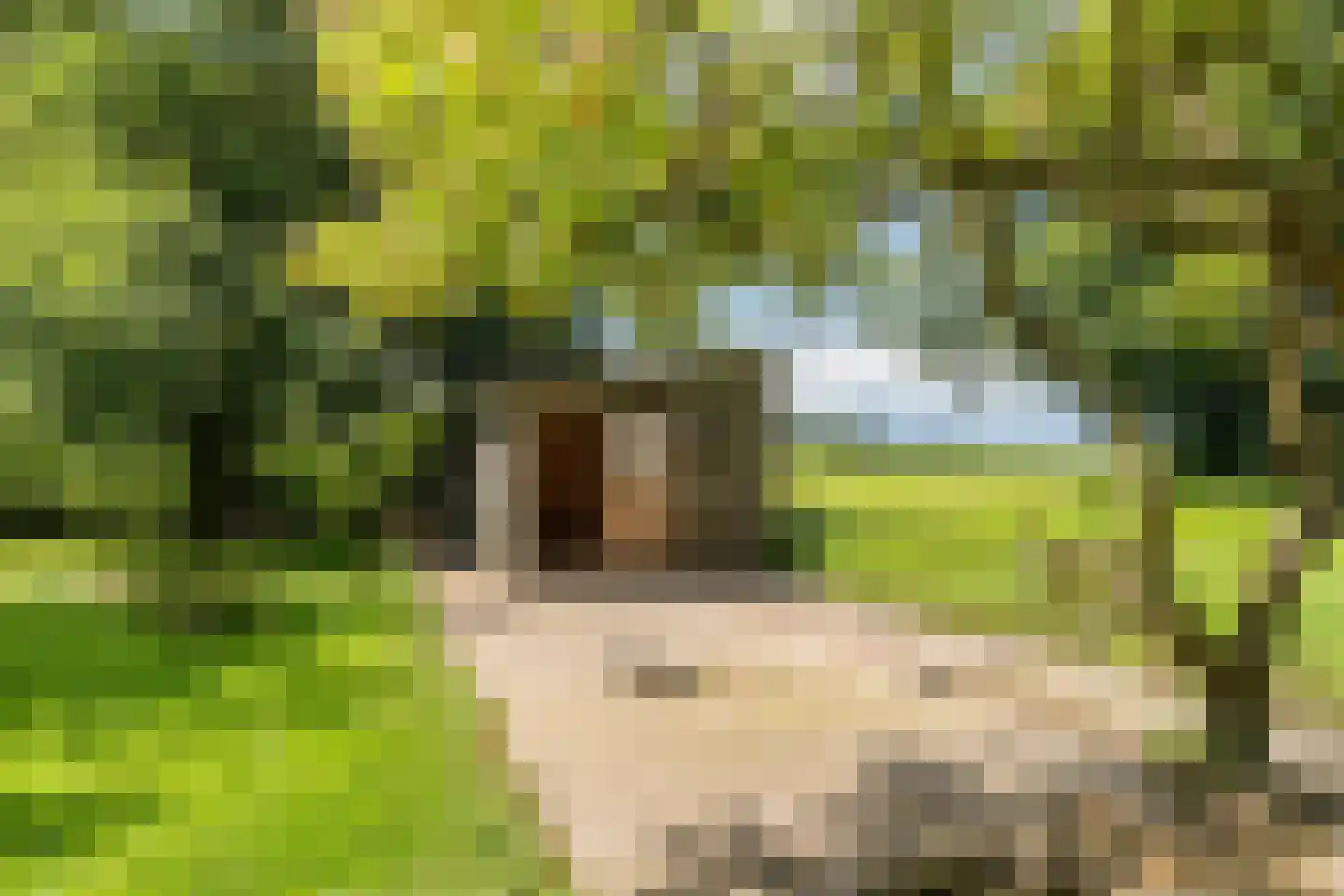 De Brandt 4 Dalfsen thumbnail 54