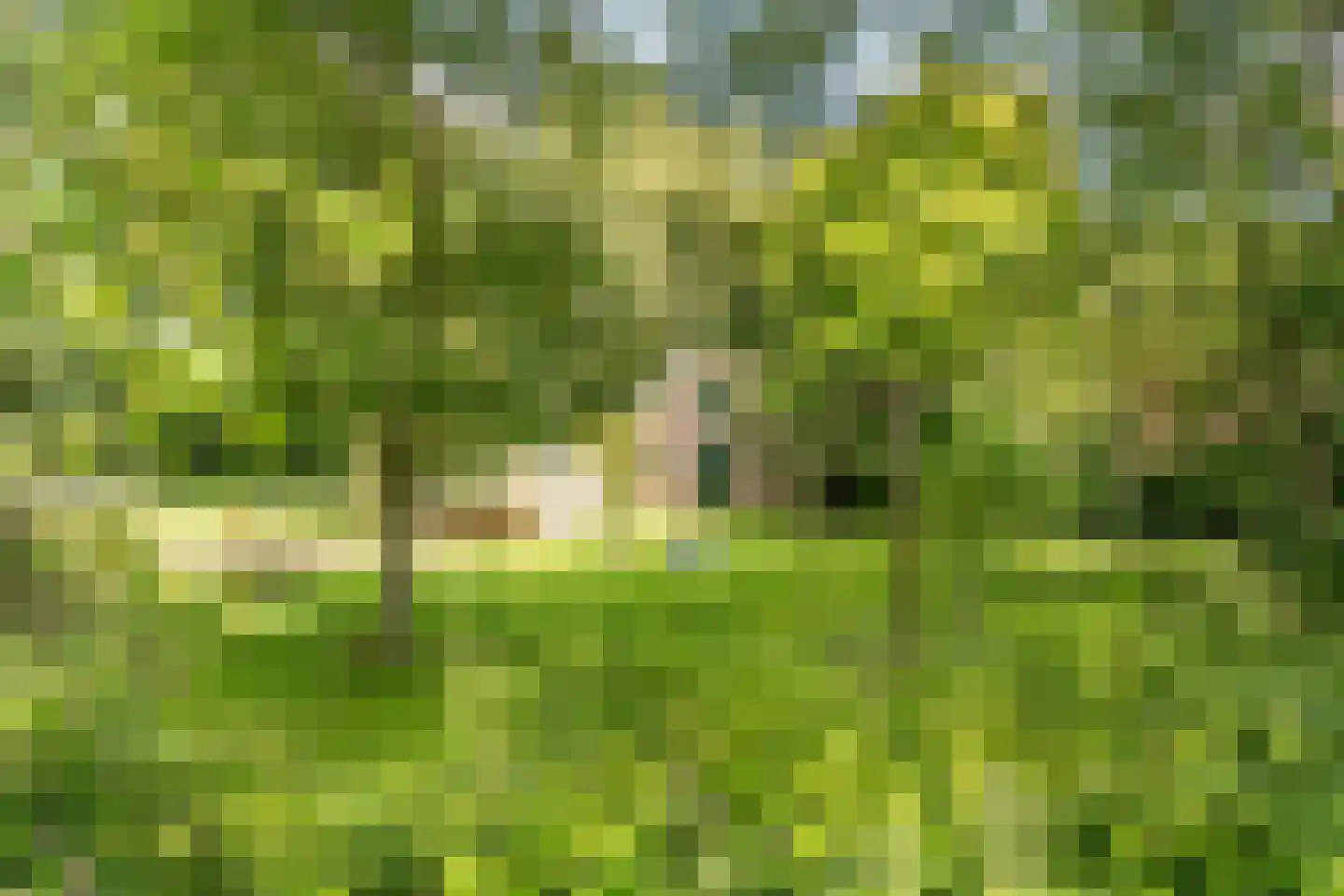 De Brandt 4 Dalfsen thumbnail 55
