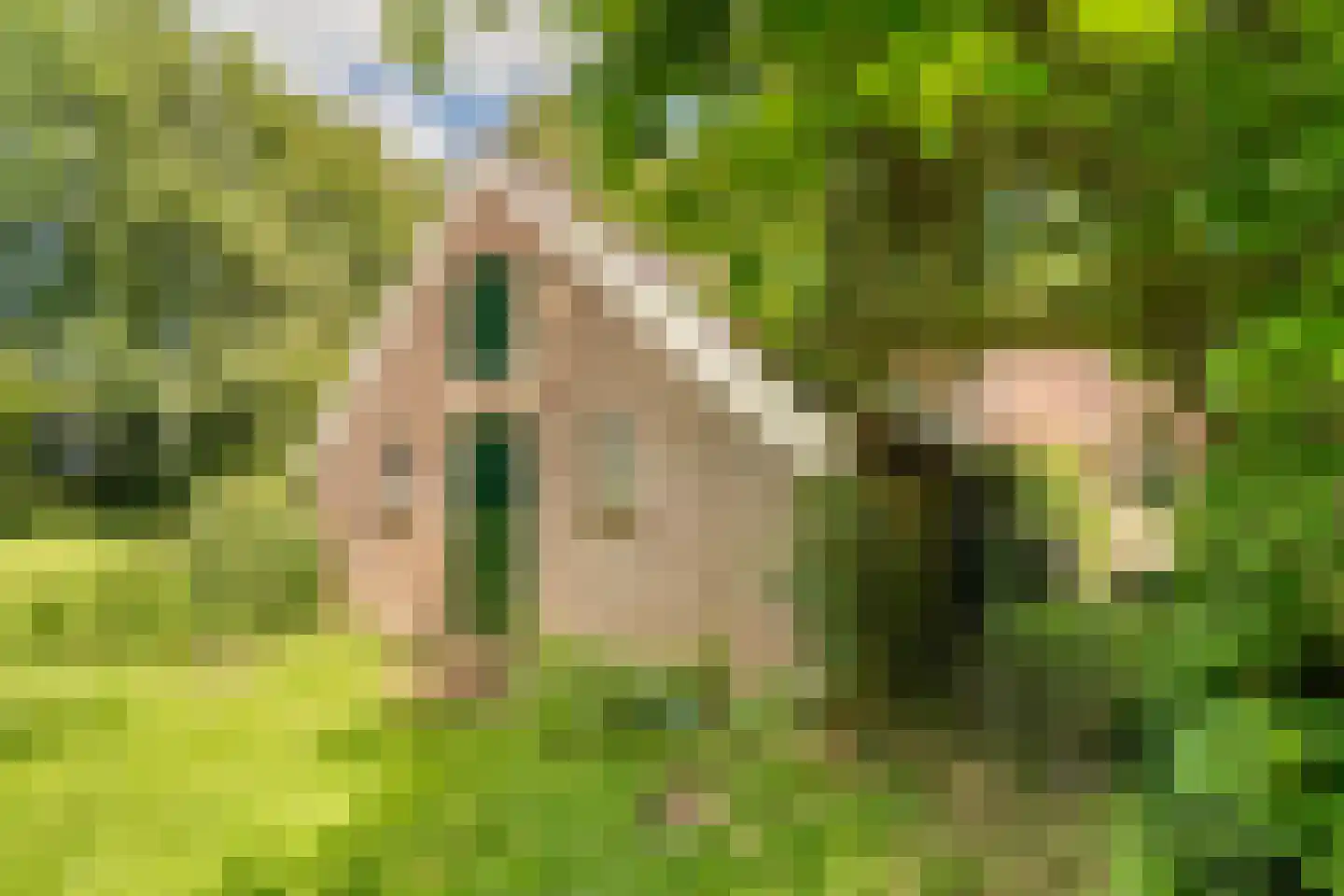 De Brandt 4 Dalfsen thumbnail 56