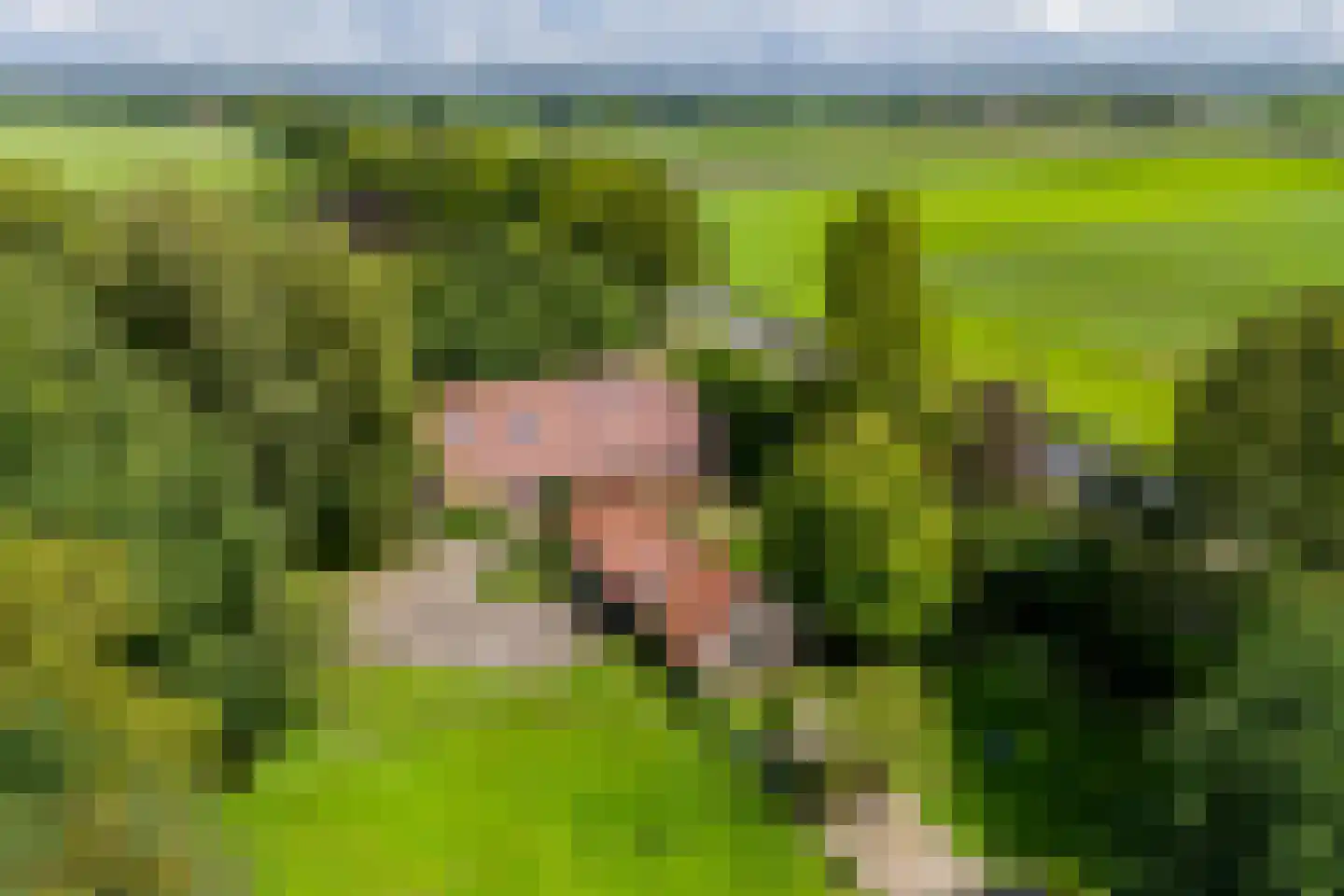 De Brandt 4 Dalfsen thumbnail 57