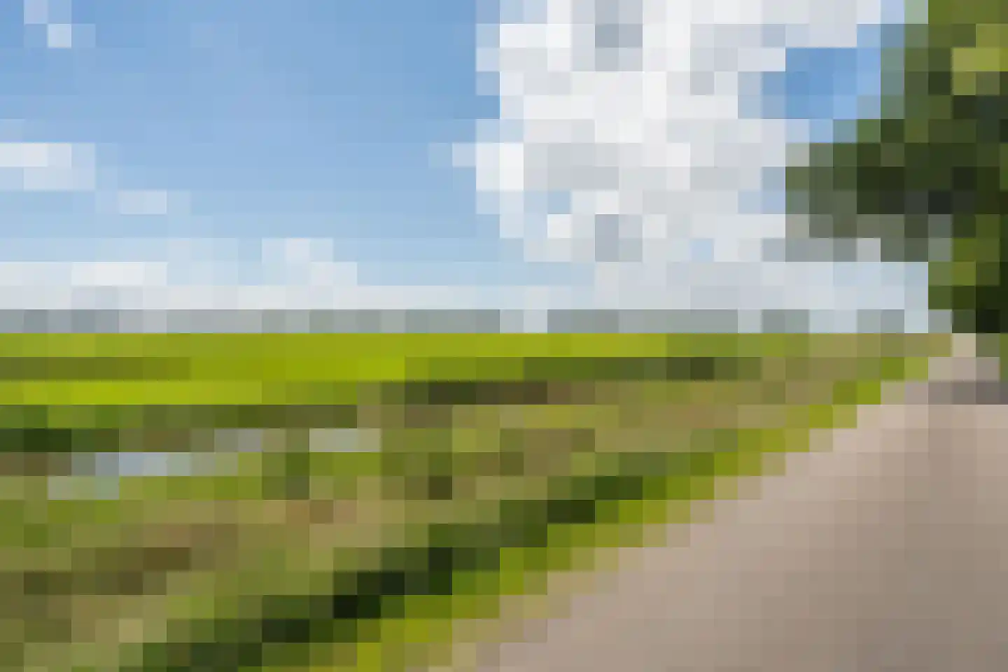 De Brandt 4 Dalfsen thumbnail 6