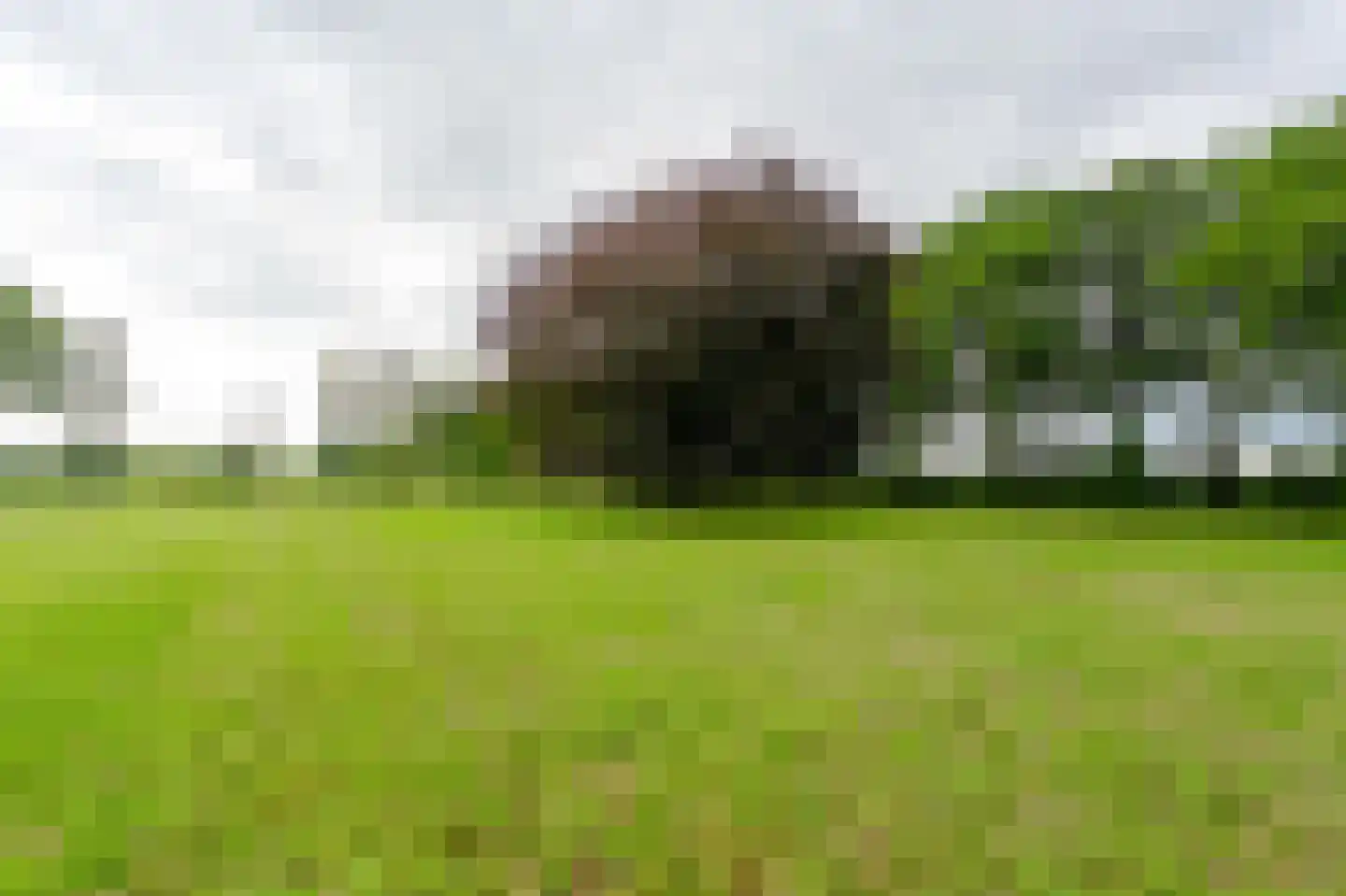 De Brandt 4 Dalfsen thumbnail 62